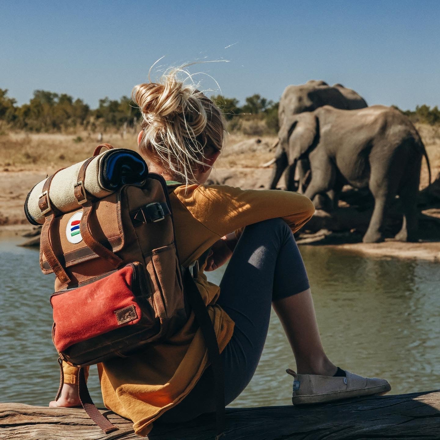 Photo of a the back of a young girl wearing a canvas and leather backpack and sitting on a log watching Elephants walk by.