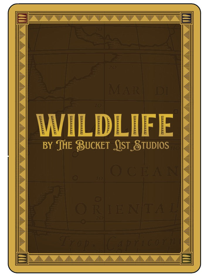 WILDLIFE Card Game